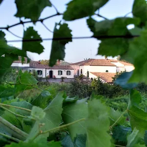 Casa Vacanze Etna Italien